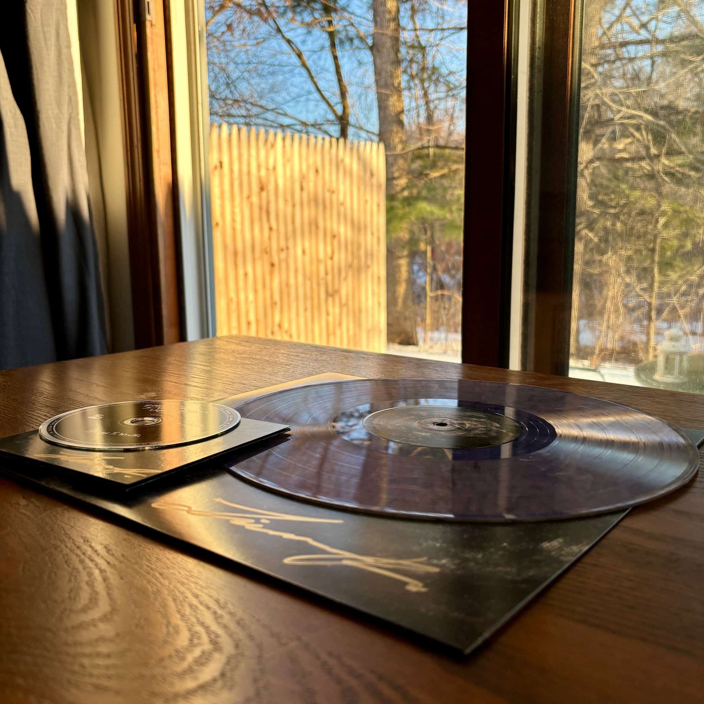 Vinyl record and CD with a window view of trees and a wooden fence.