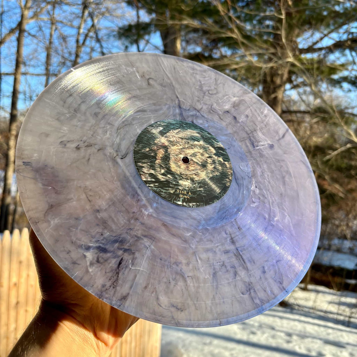 Vinyl record held in front of a natural background with trees and sunlight.