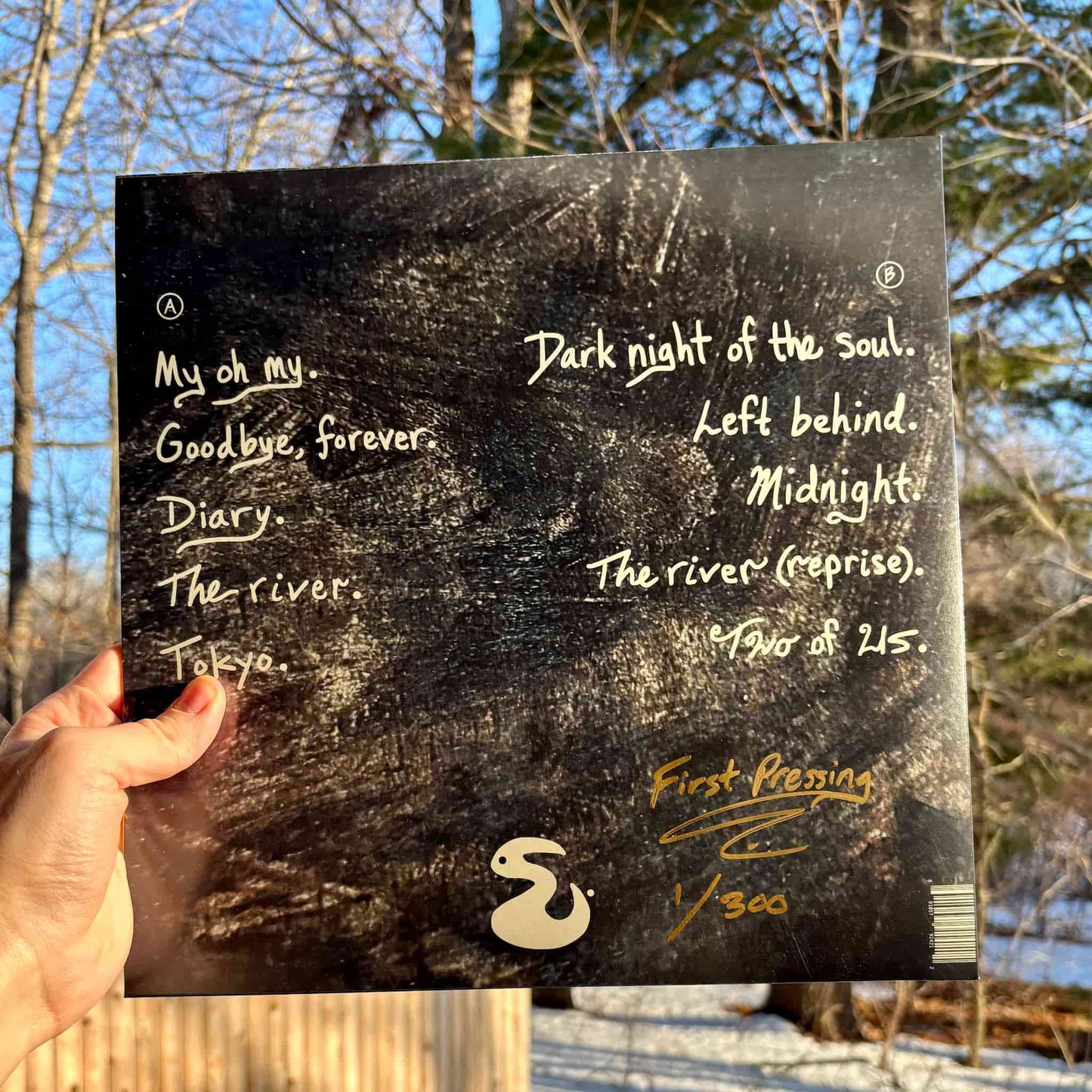 Back of the vinyl record jacket held in front of a snowy landscape.