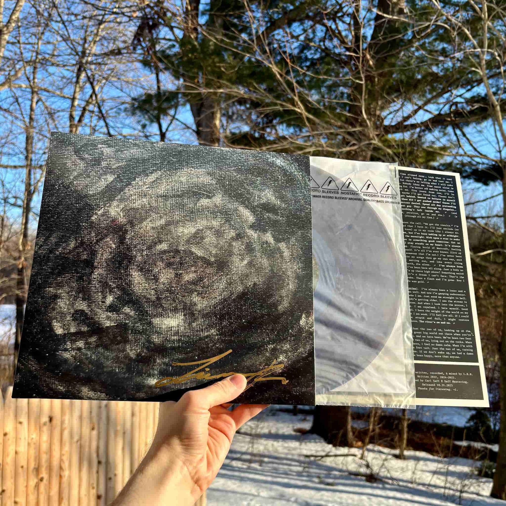 Person holding vinyl record, jacket, and insert with a snowy landscape and trees in the background