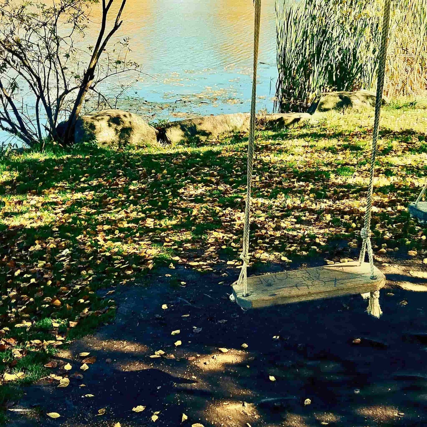 Album cover for "College Songs."