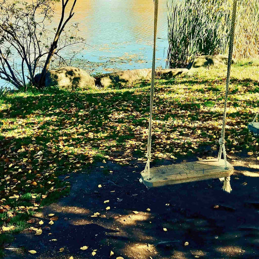 Album cover for "College Songs."