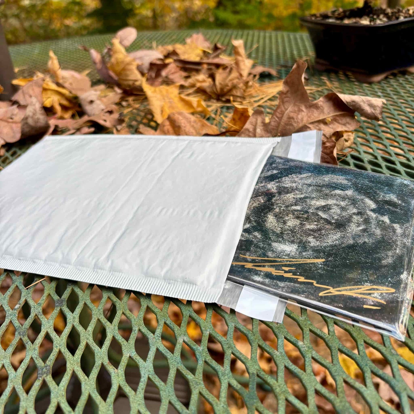 "Underwater" signed CD partially inserted in bubble mailer package.